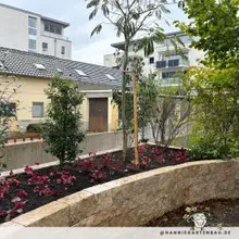 Thema: Pflanzen im Garten. Firma Hannis Gartengestaltung und Landschaftsbau in Freiburg bietet..
